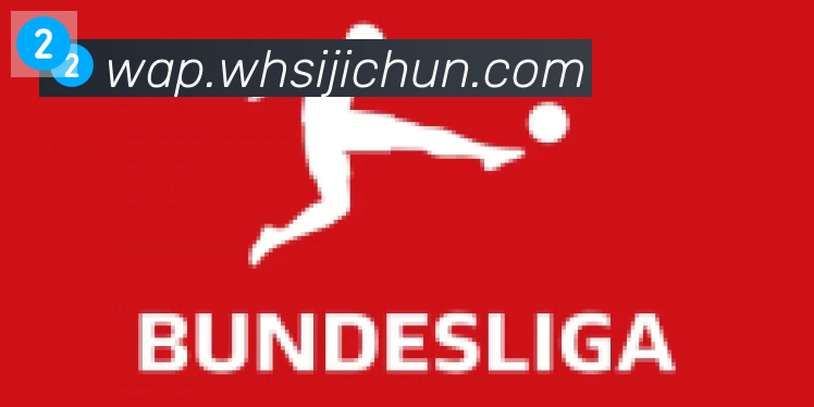 kaiyun官方网站登录入口合作伙伴