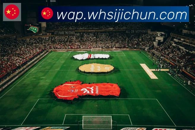 kaiyun官方网站登录入口全站App